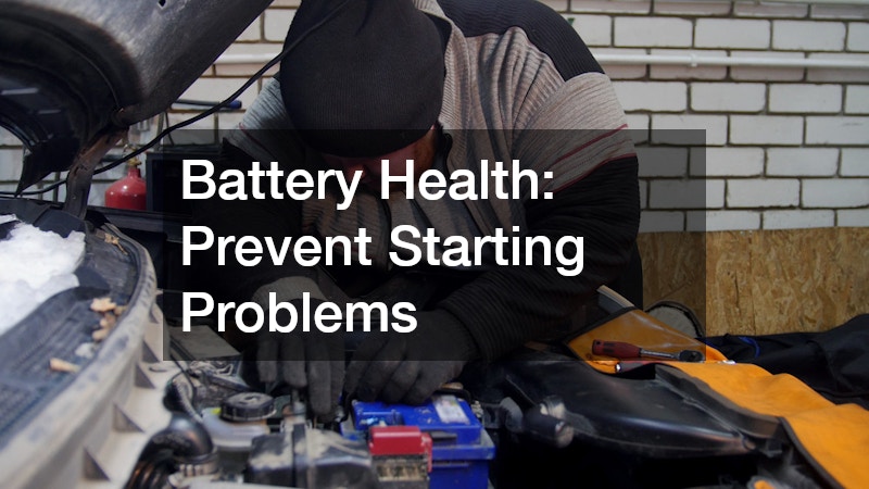 checking the car's battery